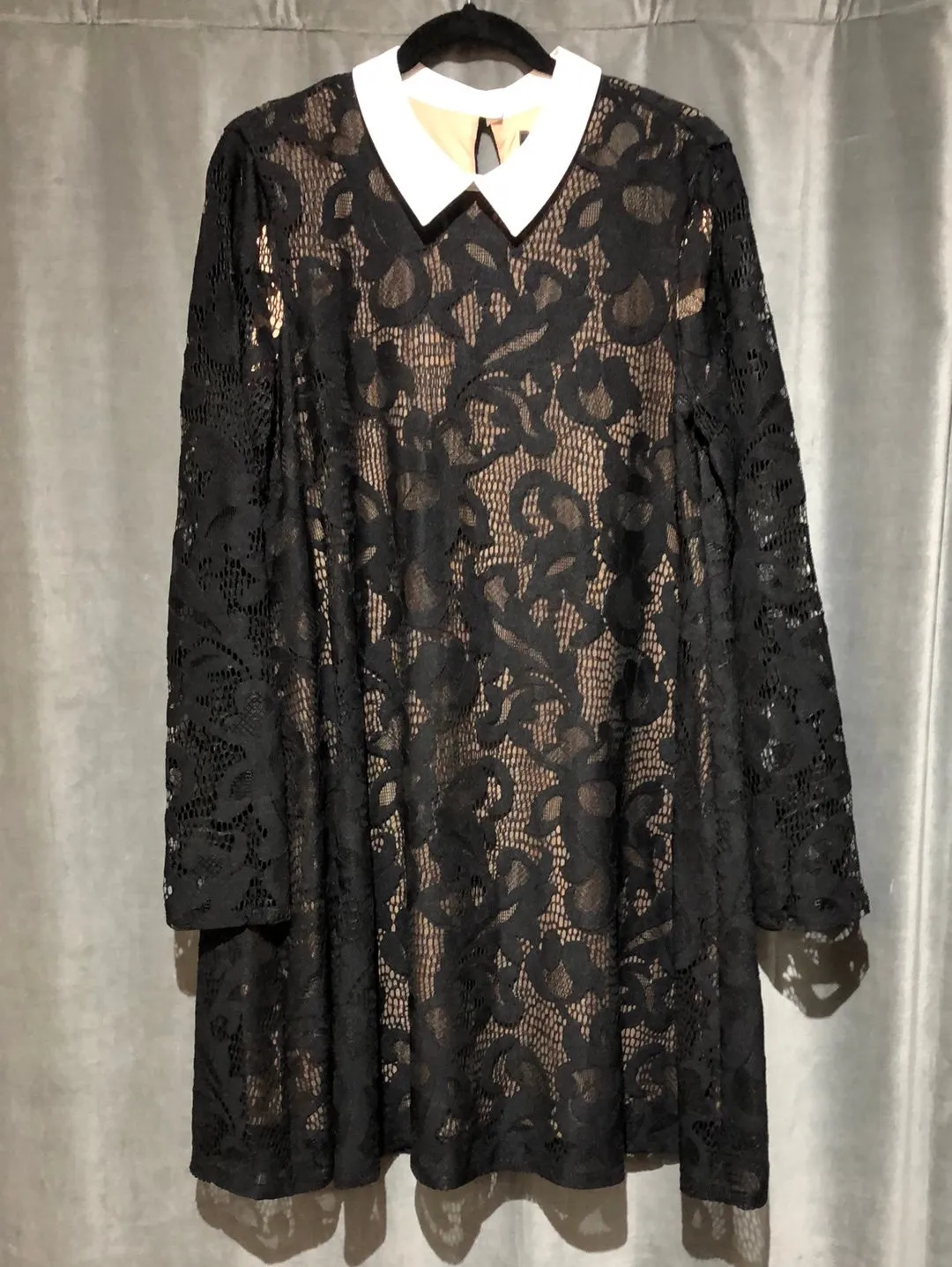BCBG 'ROXINE' Black Long Sleeve Lace Dress with White Collar