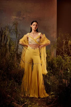 Embroidered bralette with sharara pants set