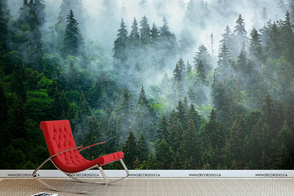 Reaching Tree Tops Wallpaper Mural