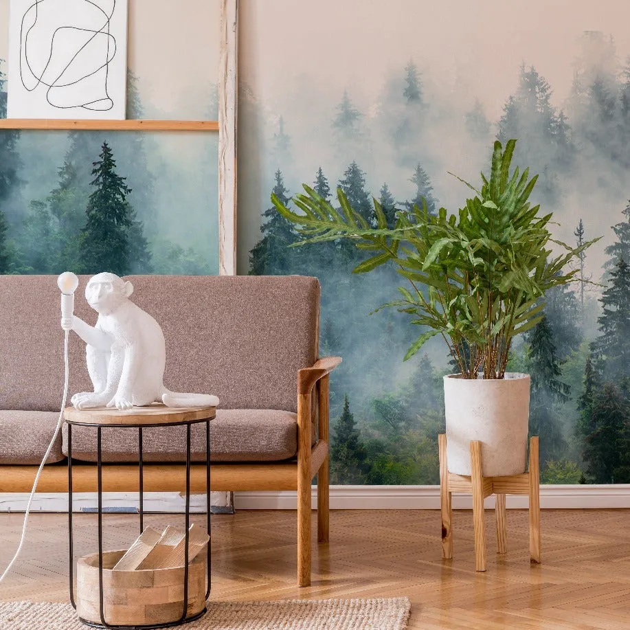 Reaching Tree Tops Wallpaper Mural