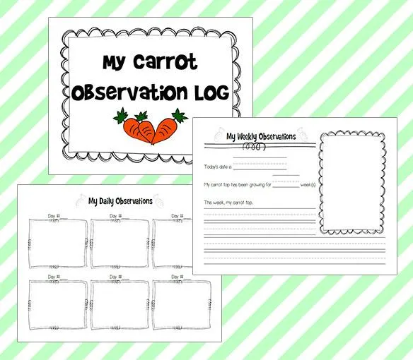 Spring Science - Carrot Top Experiment with Journal Printables!