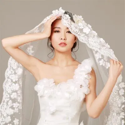 Stunning Short  Lace Applique Wedding Veil With Beadings, WV0102