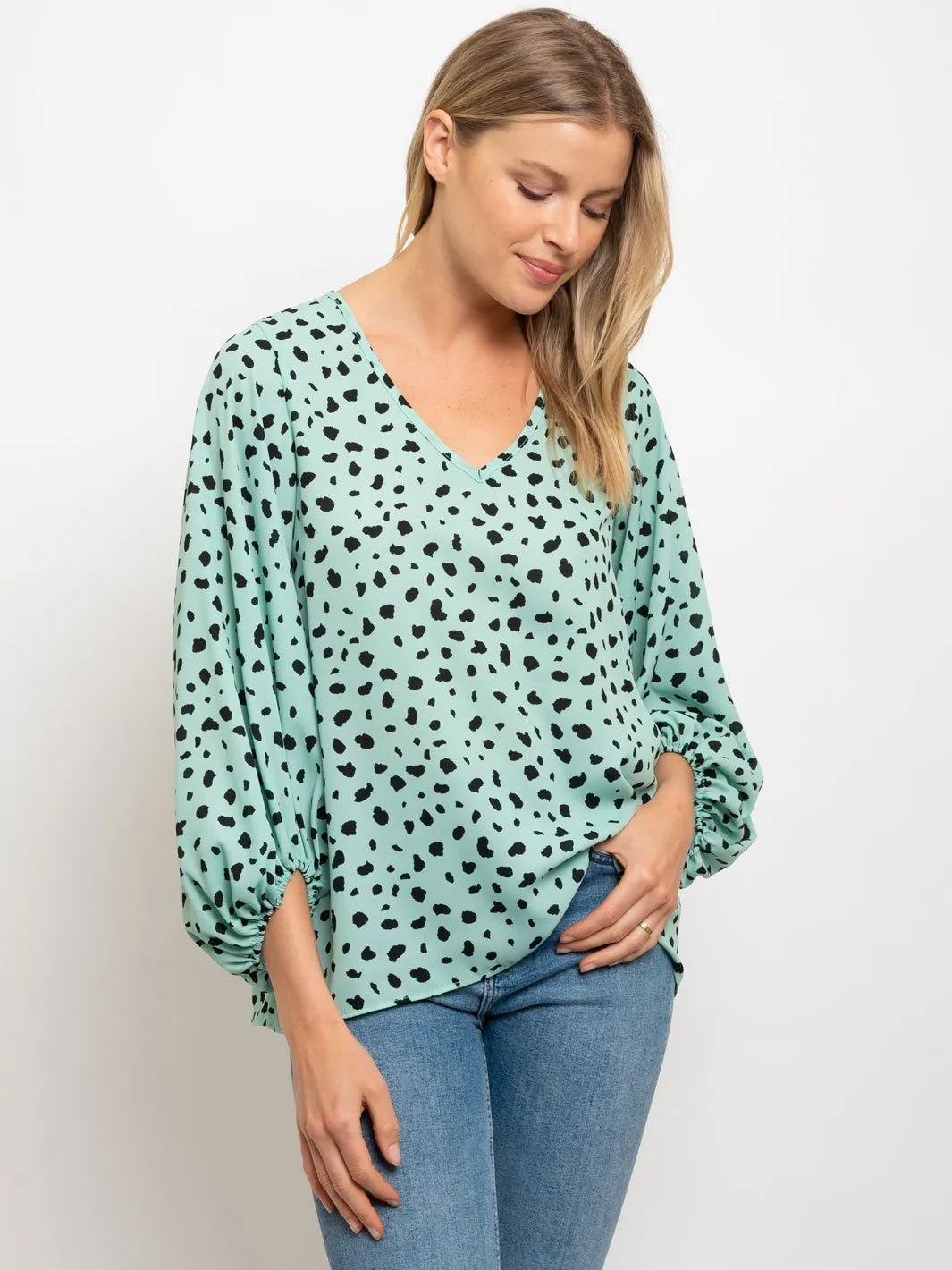 WOMEN'S ANIMAL PRINT LONG SLEEVE V-NECK TOP