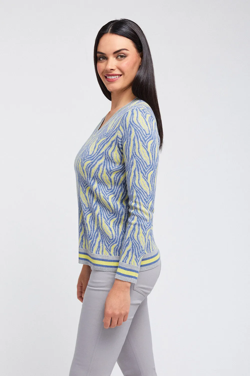 Zebra V Neck - Safari Bound: FINAL SALE